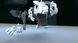 Інтерактивний робот Silverlit Робозавр Biopod Inmotion 88091