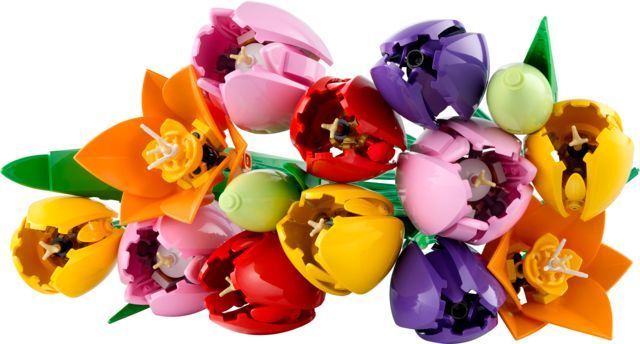 LEGO Botanicals Букет тюльпанів 11501