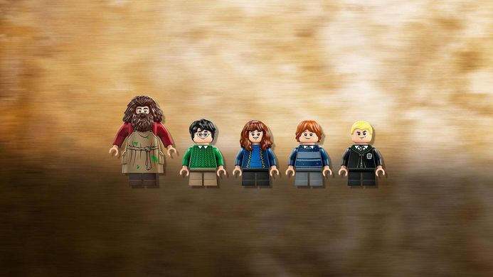 LEGO® Harry Potter Хатинка Геґріда: Несподівані гості 76428