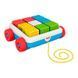 Іграшка-каталка "Яскраві кубики" Fisher-Price