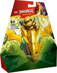 Конструктор LEGO NINJAGO Атака восставшего дракона Арина 71803