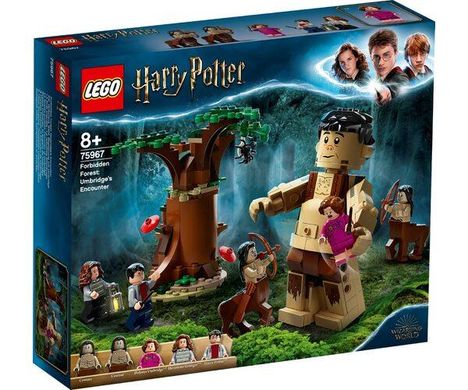 Конструктор LEGO Harry Potter "Заборонений ліс: зустріч Амбрідж", 75967
