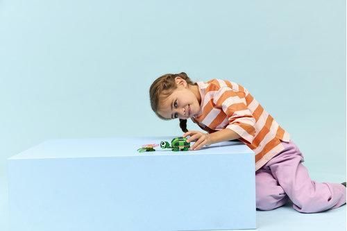 LEGO Creator Черепаха з квіткою водяної лілії 31377