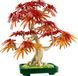 LEGO&reg; Botanicals Бонсай з японського червоного клена Рослинний декор 10348