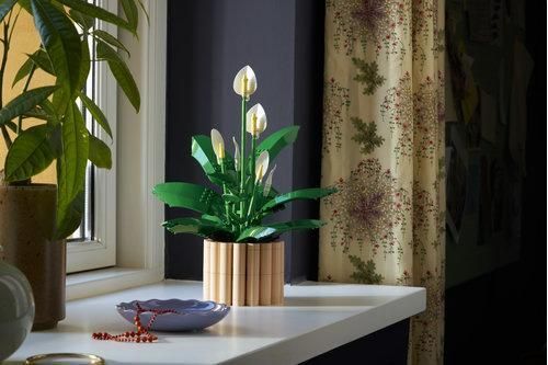 LEGO Botanicals Спатифилум 11504