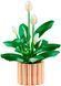 LEGO Botanicals Спатифилум 11504