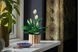 LEGO Botanicals Спатифилум 11504