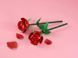 Набір лего троянди LEGO Creator LEGO 40460 Roses