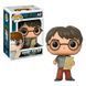 Фігурка Funko Pop Гаррі Поттер з мапою мародерів 14936-PX-1W9