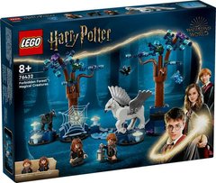 LEGO Harry Potter™ Заборонений ліс: чарівні істоти (76432)