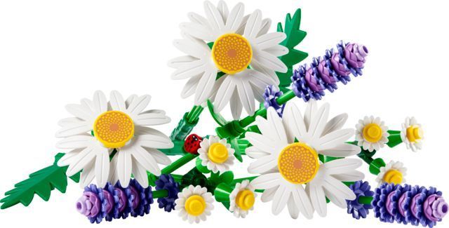 LEGO Botanicals Ромашки 11508