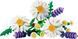 LEGO Botanicals Ромашки 11508