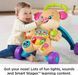 Fisher-Price Ходунки толкатели щенок сестричка смейся и учись FHY95