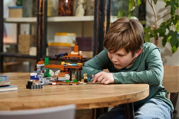 LEGO&reg; Minecraft&reg; Заброшенная шахта в бесплодных землях Игрушка из видеоигры 21263