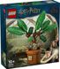 LEGO® Harry Potter™ Корень мандрагоры Волшебный подарок 76433