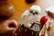 LEGO Harry Potter Філософський камінь. Колекційний набір 76466