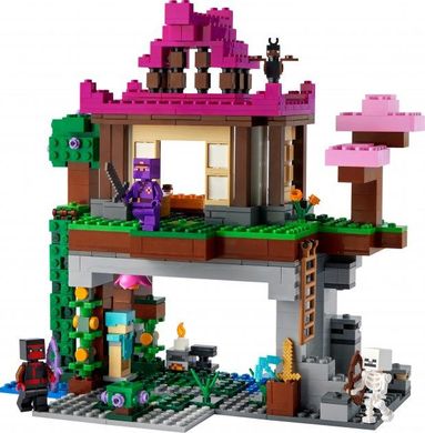 Конструктор LEGO Minecraft Тренировочная база 21183