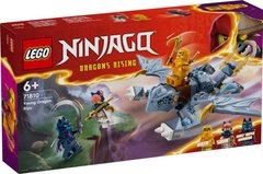 LEGO® NINJAGO Молодий дракон Рію (71810)