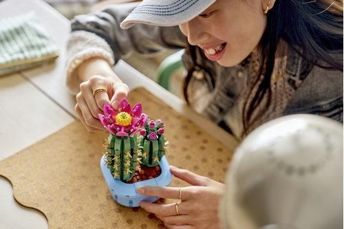 LEGO Botanicals Цветение кактуса 11509