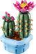 LEGO Botanicals Цветение кактуса 11509