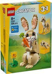 Конструктор LEGO Creator Чарівне кроленя 31162