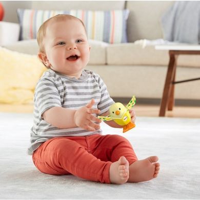 Брязкальце "Диво-звірі" Fisher-Price (в ас.)