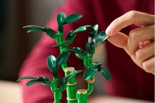Конструктор LEGO Icons Бамбук щастя 10344