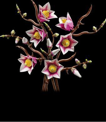 LEGO&reg; Botanicals Гілки магнолії (11510)