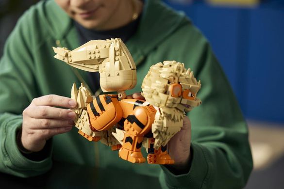 LEGO&reg; Pok&eacute;monTM Арканайн 72160