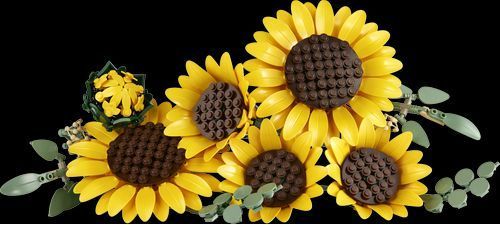 LEGO&reg; Botanicals Букет подсолнухов (11502)