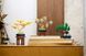 LEGO&reg; Botanicals Мини-дерева бонсай (10373)