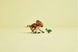 LEGO&reg; Jurassic World Динозаврик Dolores: Аквилопс Игровой набор 76970