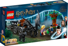 LEGO® Harry Potter™ Hogwarts™ «Карета та Тестрали» 76400