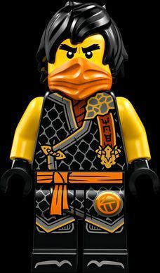 LEGO Ninjago Тренировочная база для турнира 30675