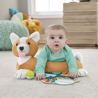 Розвиваючий ігровий набір "Цуценя" Fisher-Price