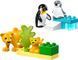 Конструктор LEGO DUPLO Сімейства диких тварин: Пінгвіни та Леви 10442