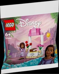 LEGO Disney Вітальний стенд Аші 30661