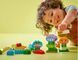 Конструктор LEGO DUPLO Творчий сад і квіти 10444