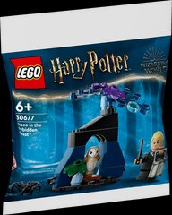 LEGO Harry Potter Драко в запретном лесу (30677)