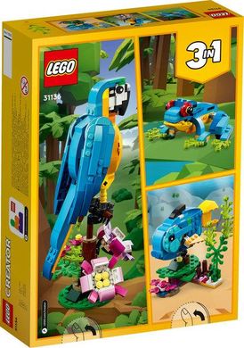 LEGO® Creator 3-в-1 «Екзотичний папуга» 31136