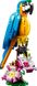 LEGO® Creator 3-в-1 «Екзотичний папуга» 31136